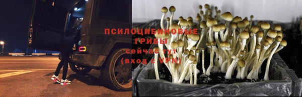 мет Балабаново