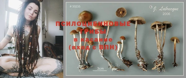 не бодяженный Белокуриха
