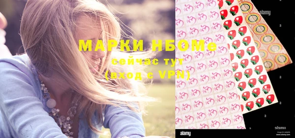 гашик Белоозёрский