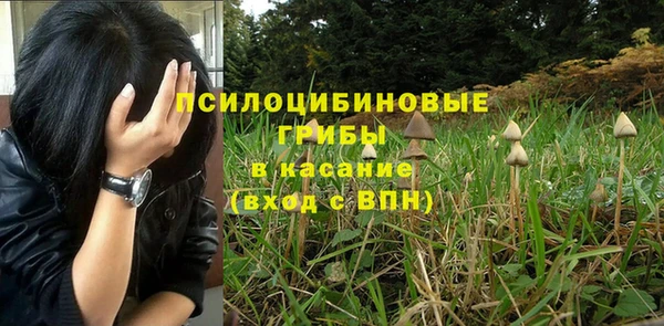 трава Балахна