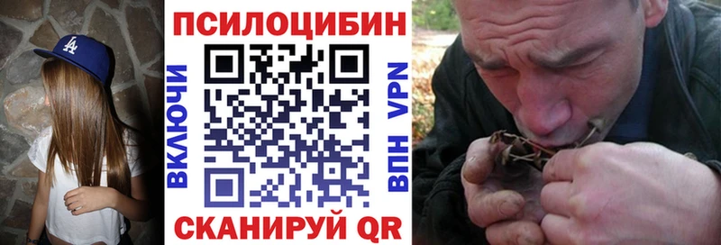 Псилоцибиновые грибы Psilocybe  продажа наркотиков  дарк нет клад  Покровск 